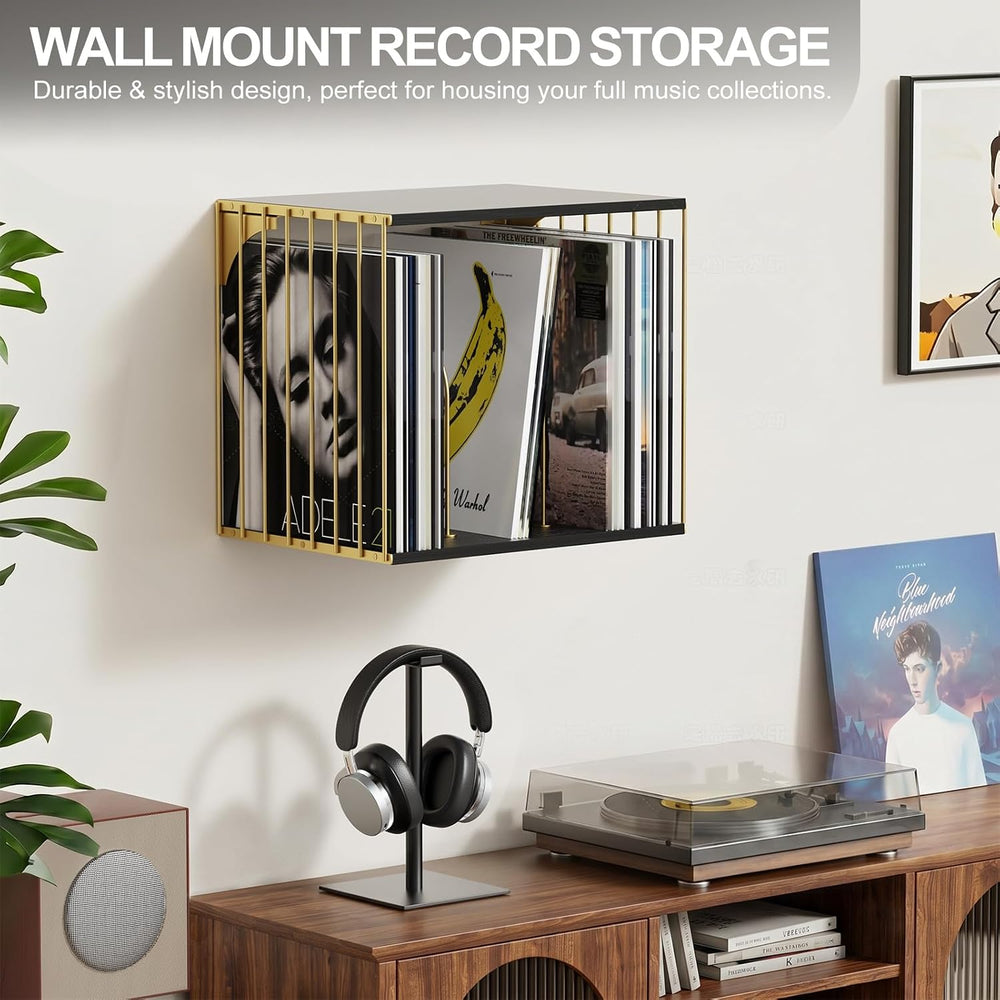 Exood Vinyl Record Storage Cube, Wall Mount Record Holder, Black & Gold