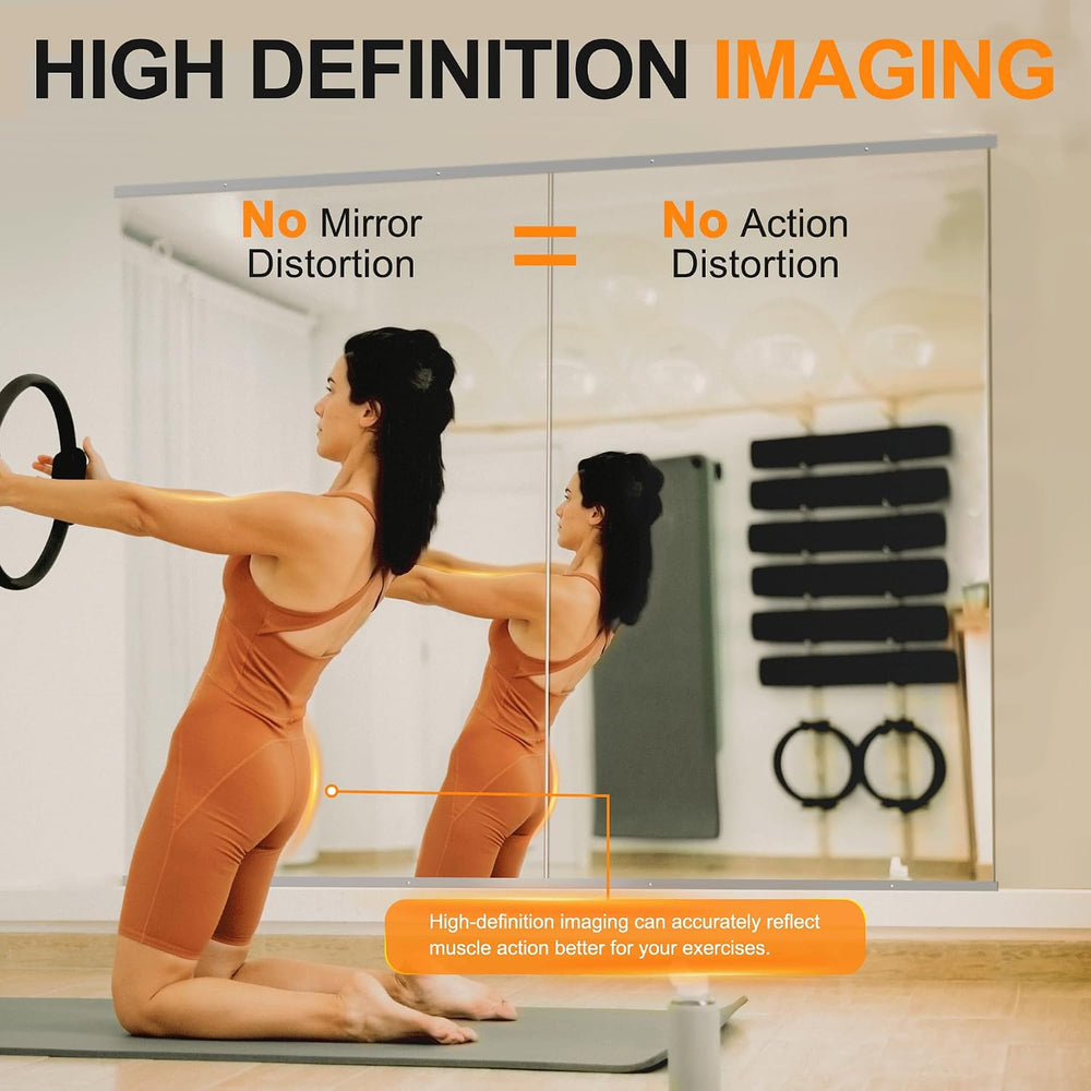Delma Home Gym Mirror, 54''x30''x2PCS Silver