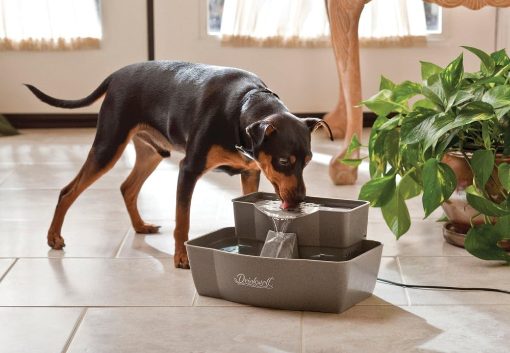 PetSafe Drinkwell Multi-Tier Pet Fountain, Cats & Dogs, Large
