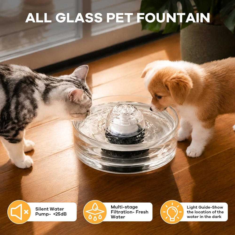 2.7L/91oz Glass Cat Water Fountain,Glass Water Fountain for Small Cats & ...