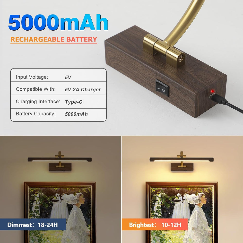 DESOOP Wireless Picture Light, Wood Grain Finish Art Light with 3CCT