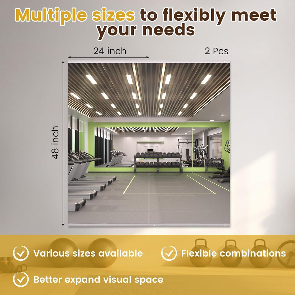 LOAAO Home Gym Mirror 48"x24", 2 PCS