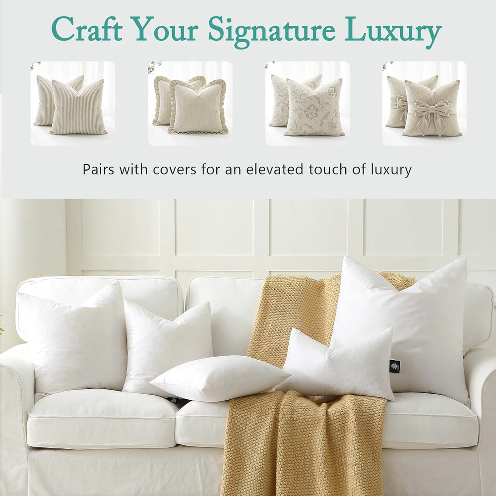 BPC Luxury Feather Down 20x20 Pillow Inserts Set of 2, Soft Fluffy Throw Pill...