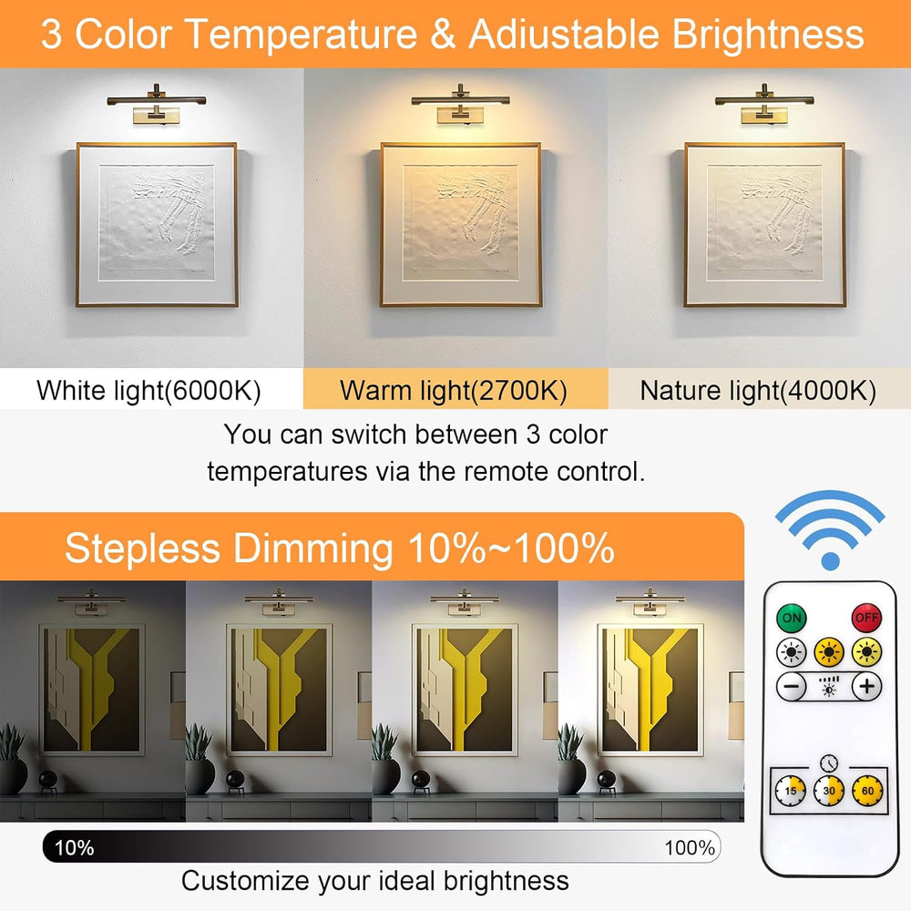Tassuowell Rechargeable Picture Light with Remote Control,12 Inch Brass Finis...