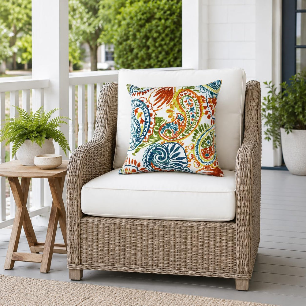 Outdoor/Indoor Throw Pillows with Inserts, 18"x18" Pack of 2