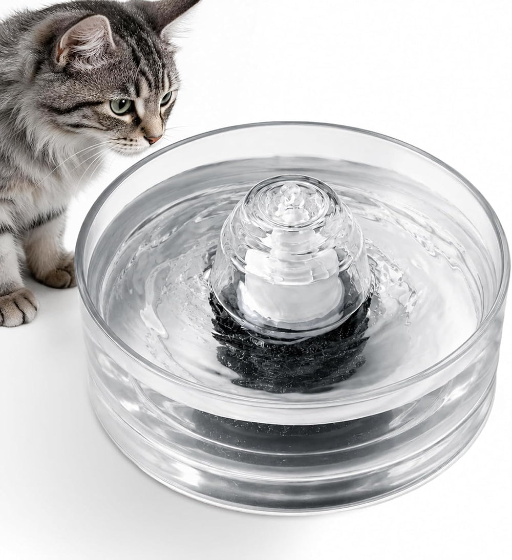 2.7L/91oz Glass Cat Water Fountain,Glass Water Fountain for Small Cats & ...