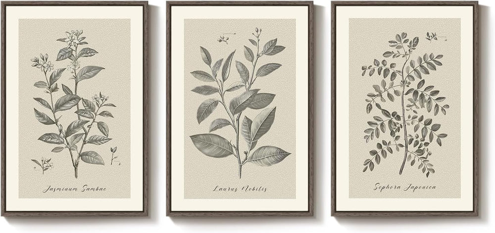 Large Framed 3 Piece Vintage Botanical Wall Art for Living Room, 20x30 In