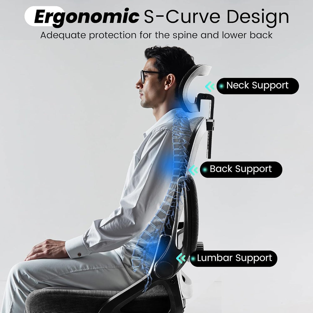 Fizzin Office Chair Mesh Computer Chairs with Adjustable Lumbar Support
