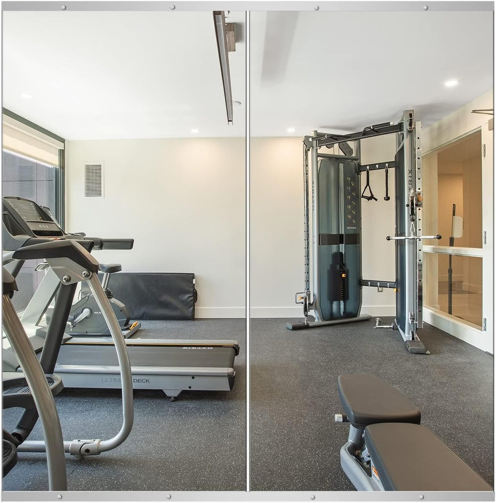 Delma Home Gym Mirror, 48"x24"x2PCS, Silver