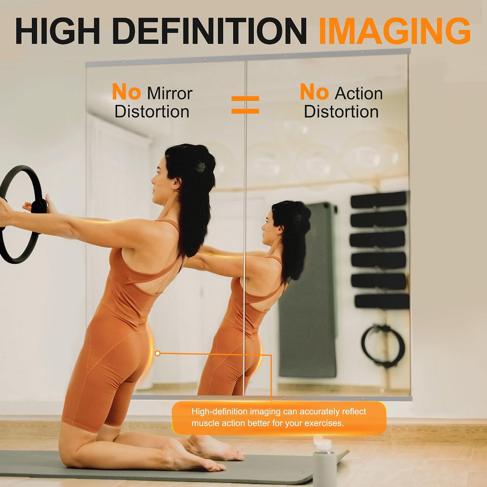 Delma Home Gym Mirror, 60''x25''x2PCS Silver