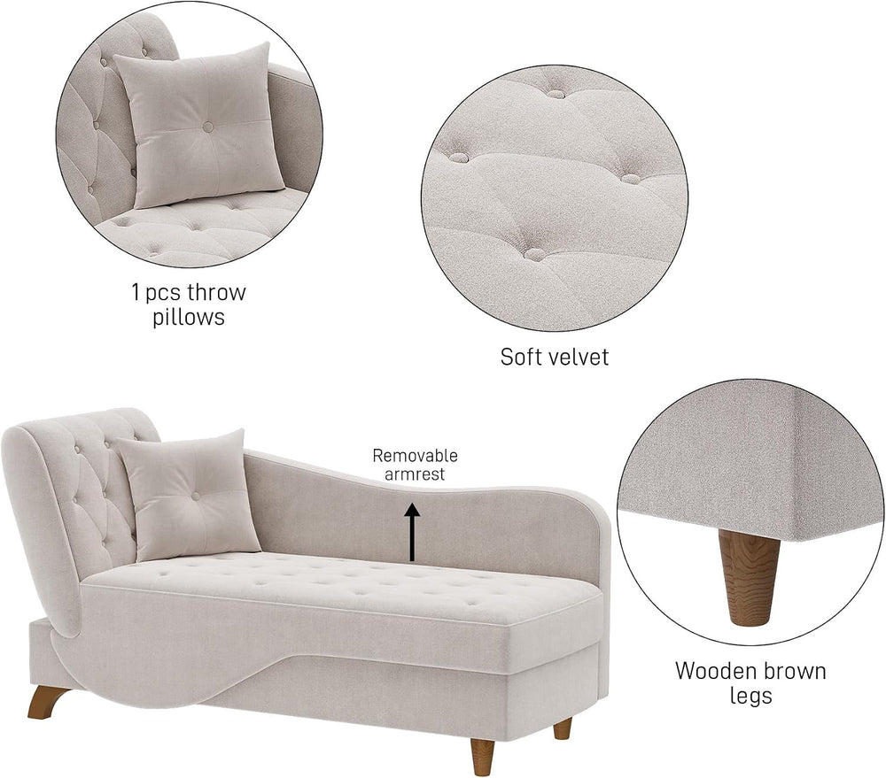 DAMAIFROM Chaise Lounge Chair Indoor with Storage,Adjustable Backrest,Grey