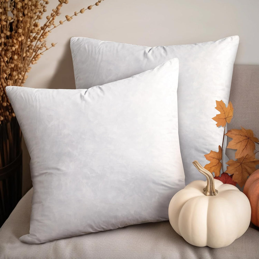 Blue Ridge Home Fashions Feather Down Pillow Square Euro Size Set of 2 Pack C...