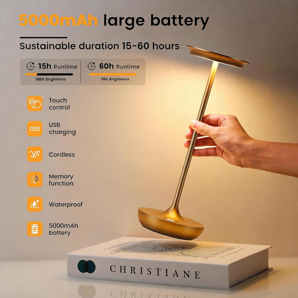 LED Rechargeable Cordless Table Lamp Battery Operated Light 2P Bronze