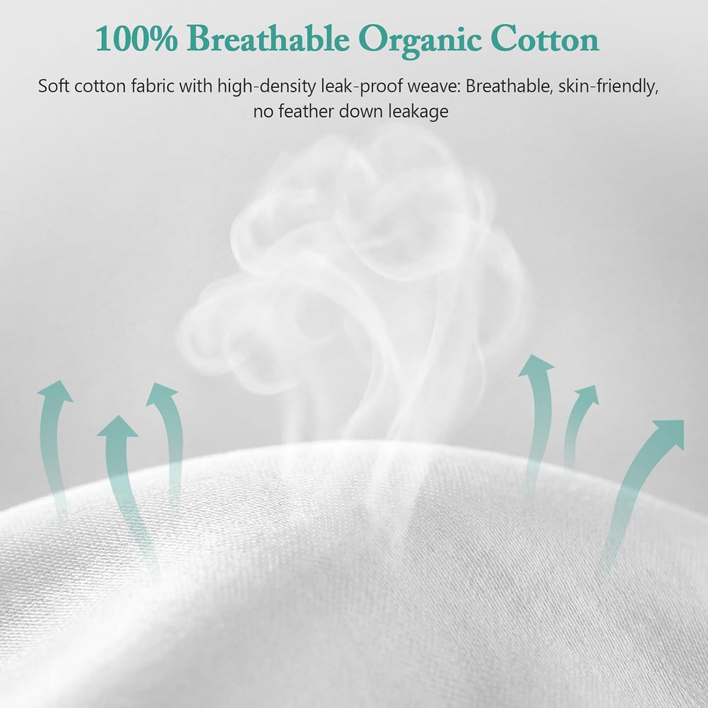 BPC Luxury Feather Down 20x20 Pillow Inserts Set of 2, Soft Fluffy Throw Pill...
