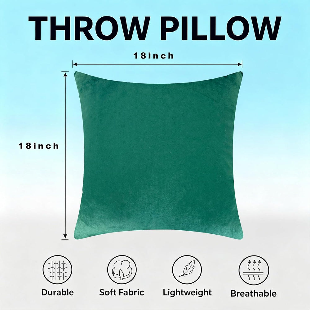18x18 Throw Pillows with Inserts, Set of 2 Velvet Sofa Pillows