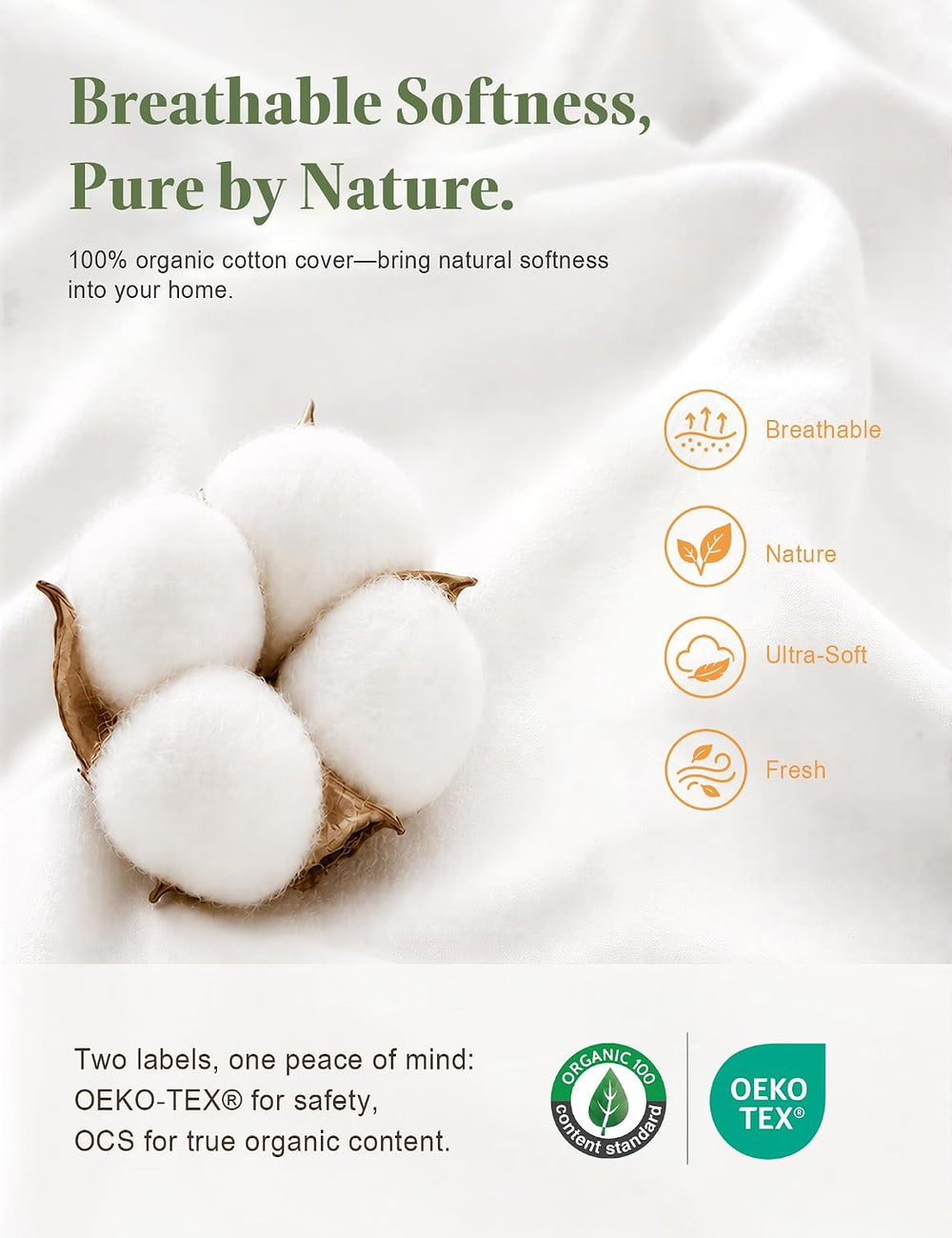 TOPGREEN Organic Feathers Down Pillow Insert 18x18, Pack of 2