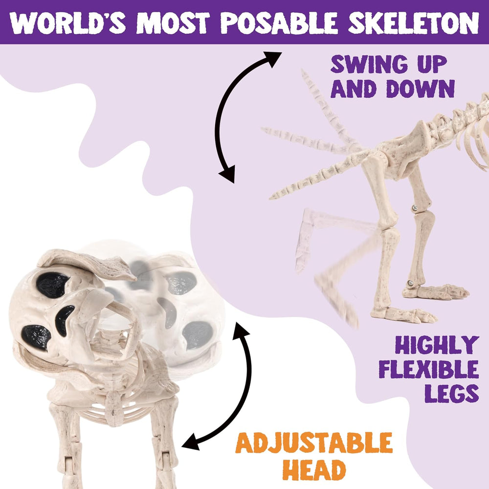 JOYIN Posable Halloween Dog Skeleton Full Body Posable Joints Realistic Skele...