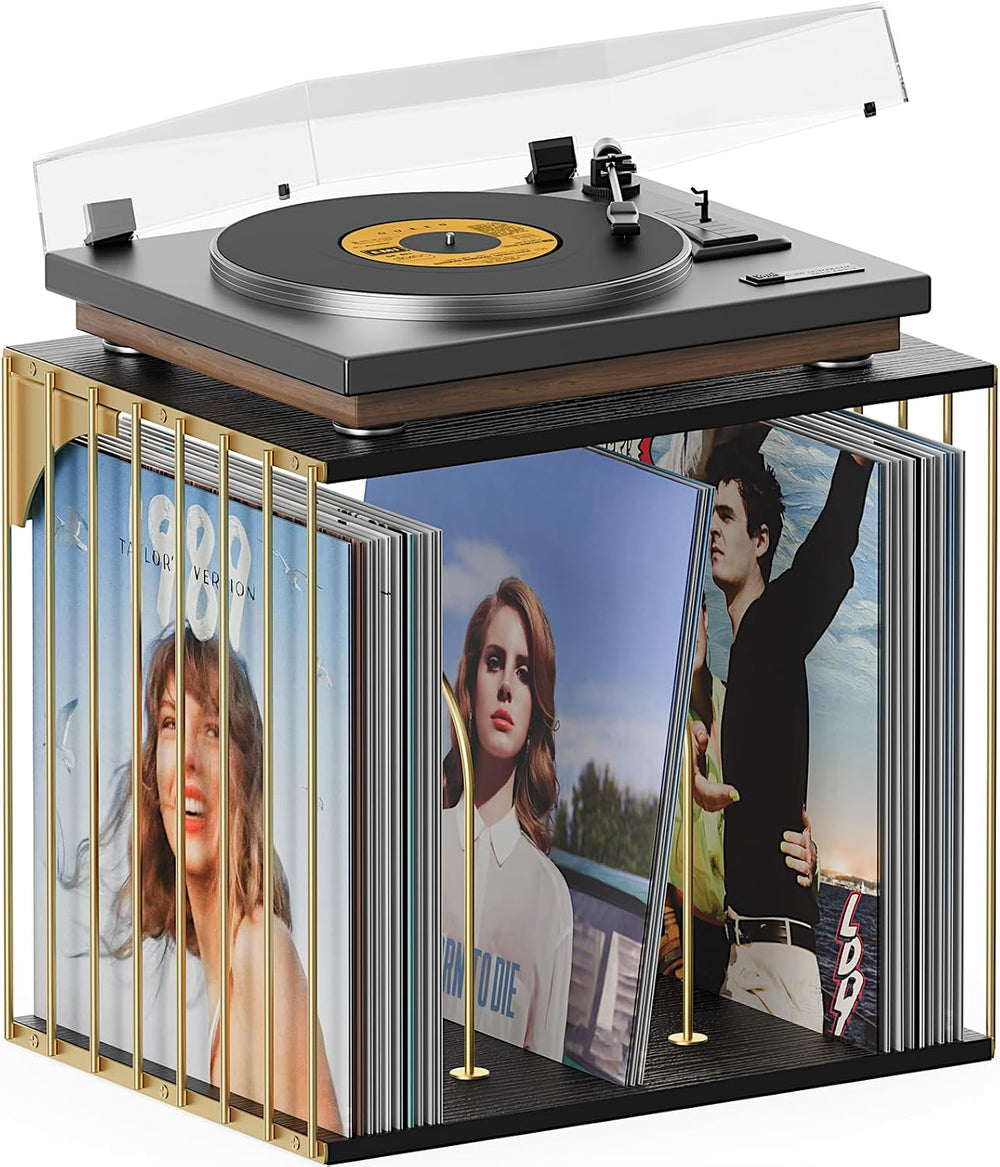 Exood Vinyl Record Storage Cube, Wall Mount Record Holder, Black & Gold