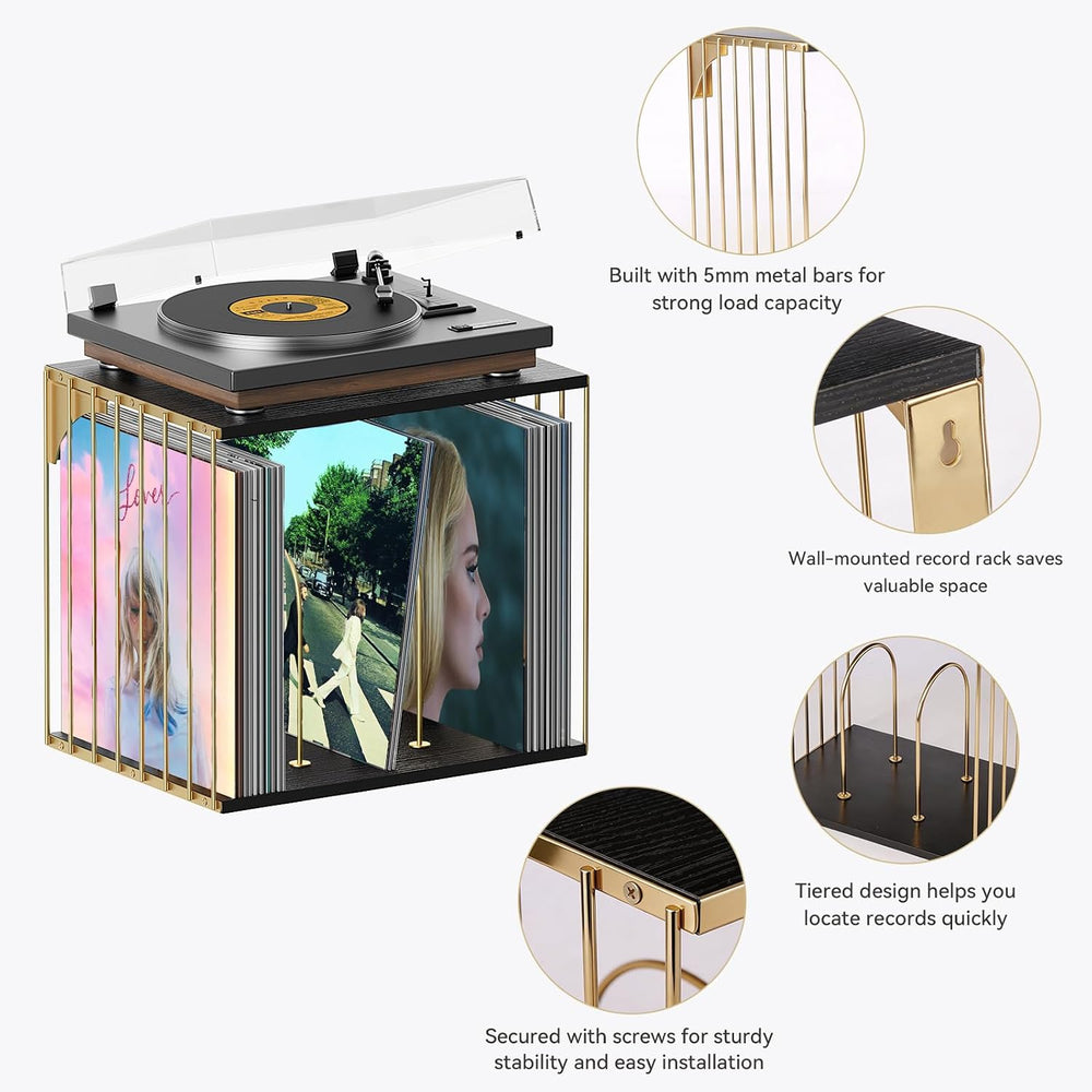 Exood Vinyl Record Storage Cube, Wall Mount Record Holder, Black & Gold