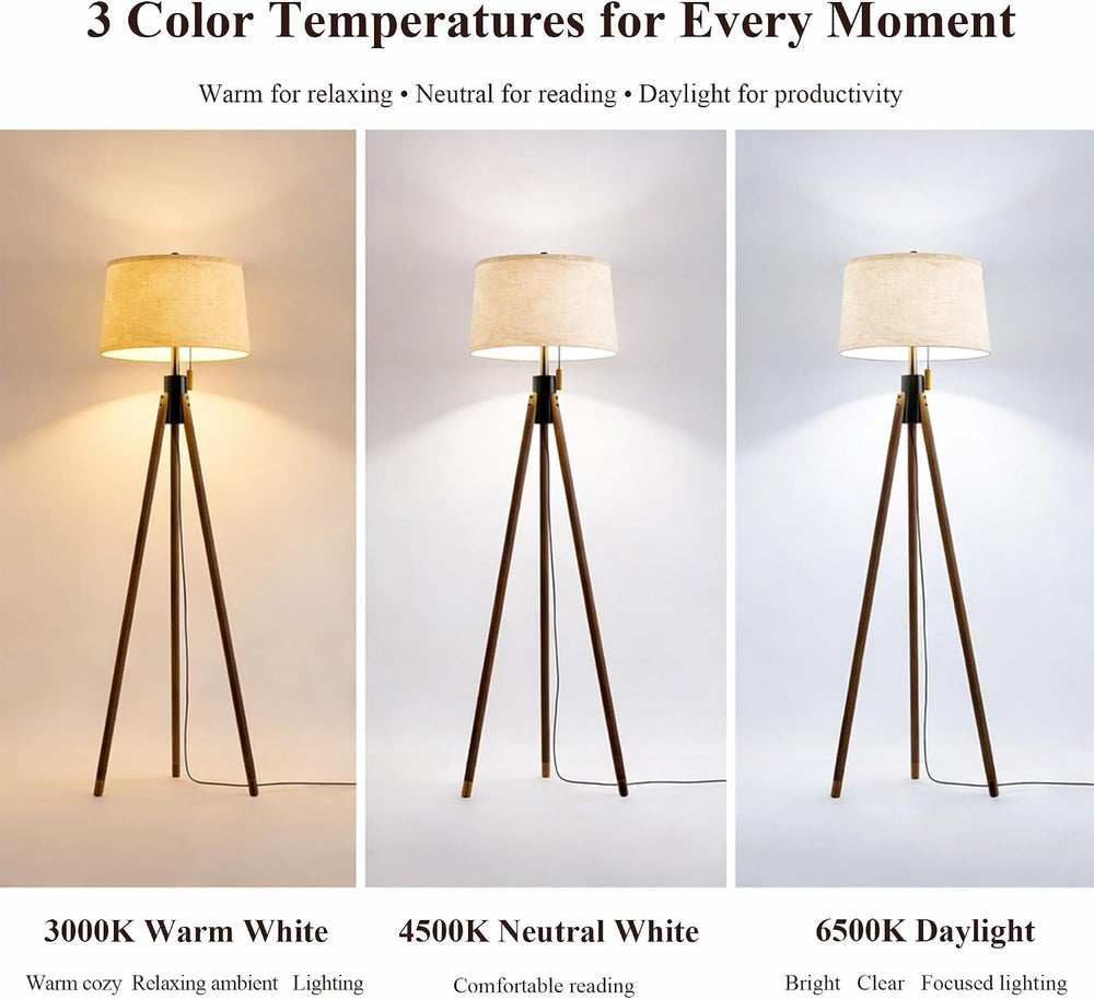 MOFFE Mid Century Tripod Floor Lamp with Pull Chain,Black & Gold Finish