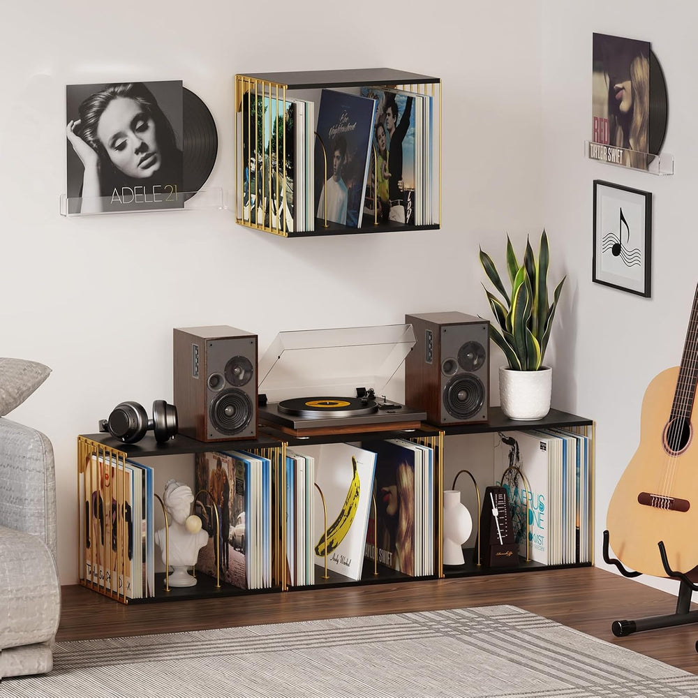 Exood Vinyl Record Storage Cube, Wall Mount Record Holder, Black & Gold