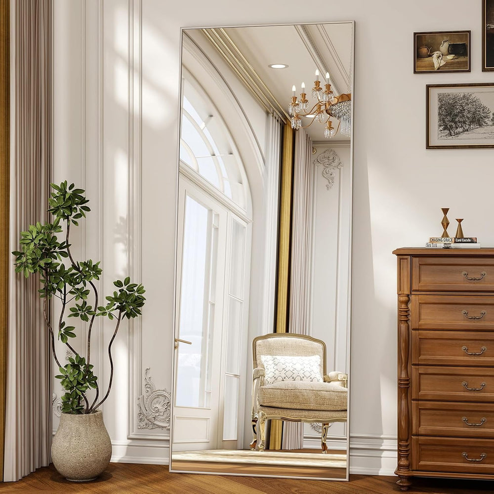 56" x 21" Full Length Mirror, Full Body Floor Mirror, Silver