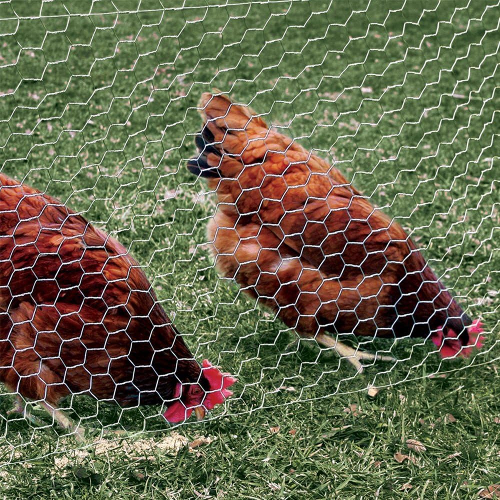 YARDGARD 2 Inch Poultry Netting, Chicken Wire Fence, 20 Gauge Galvanized Stee...