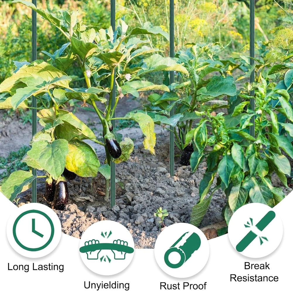 25 Pack 55 Inch Tall Plant Stakes for Tomatoes & Climbing Plants