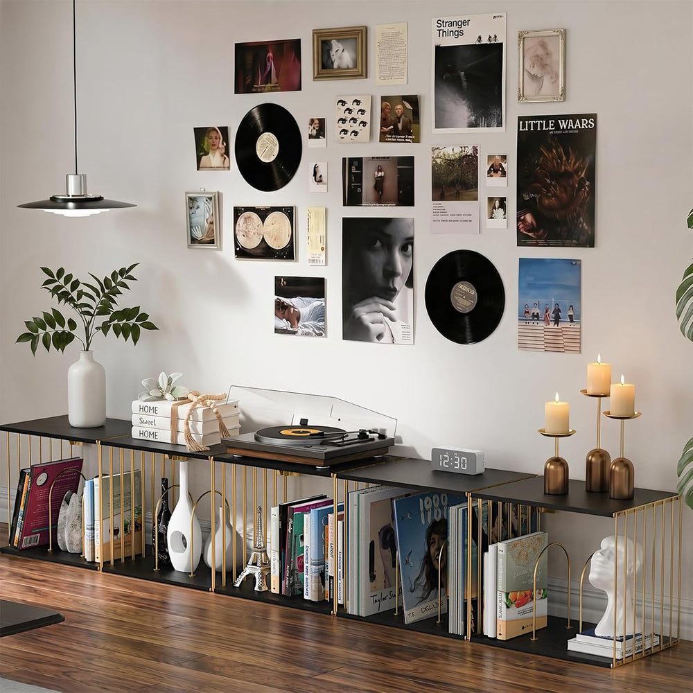 Exood Vinyl Record Storage Cube, Wall Mount Record Holder, Black & Gold