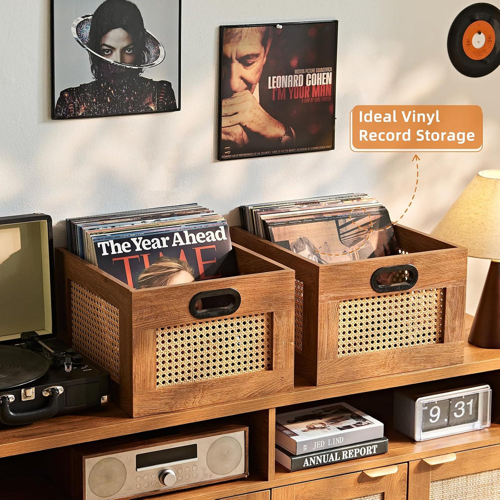 LELELINKY 2 Pack Vinyl Record Storage Crates, Rattan Vinyl Record Holder