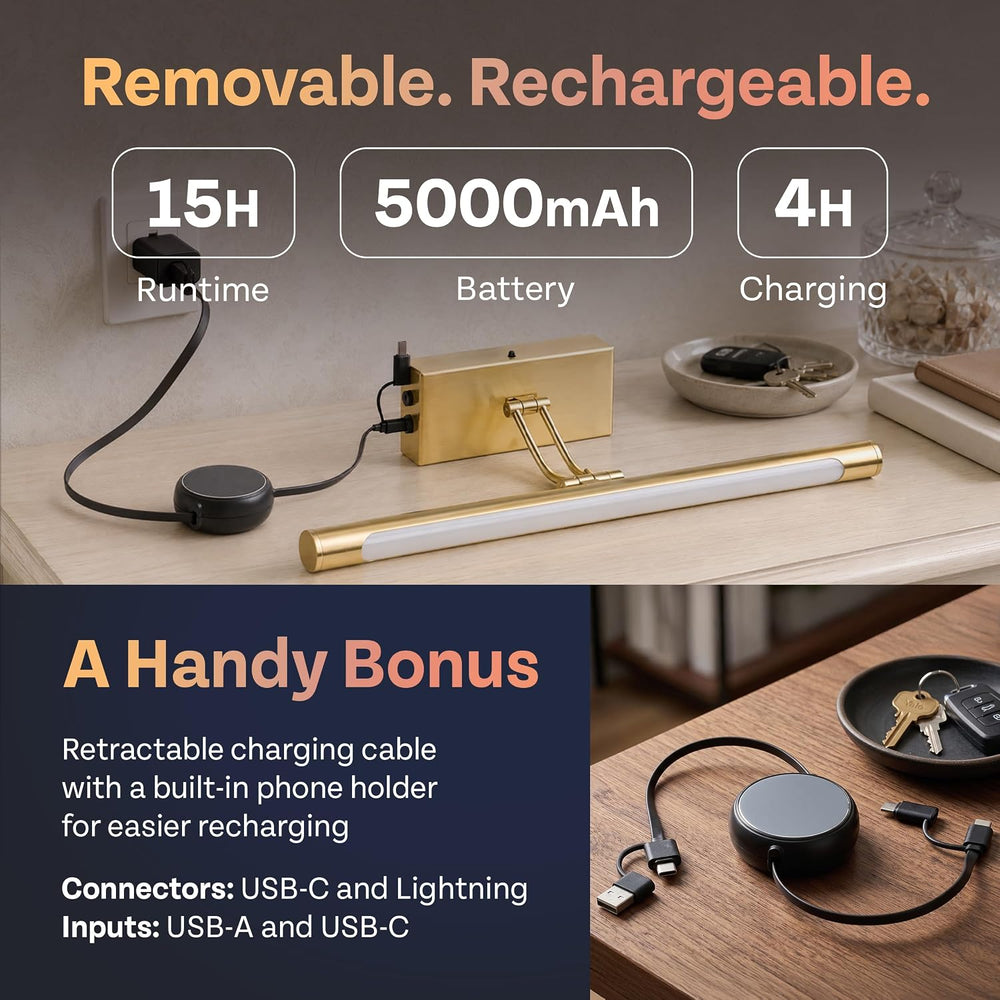 Picture Light for Wall, Rechargeable LED Art Light, Remote, Gold