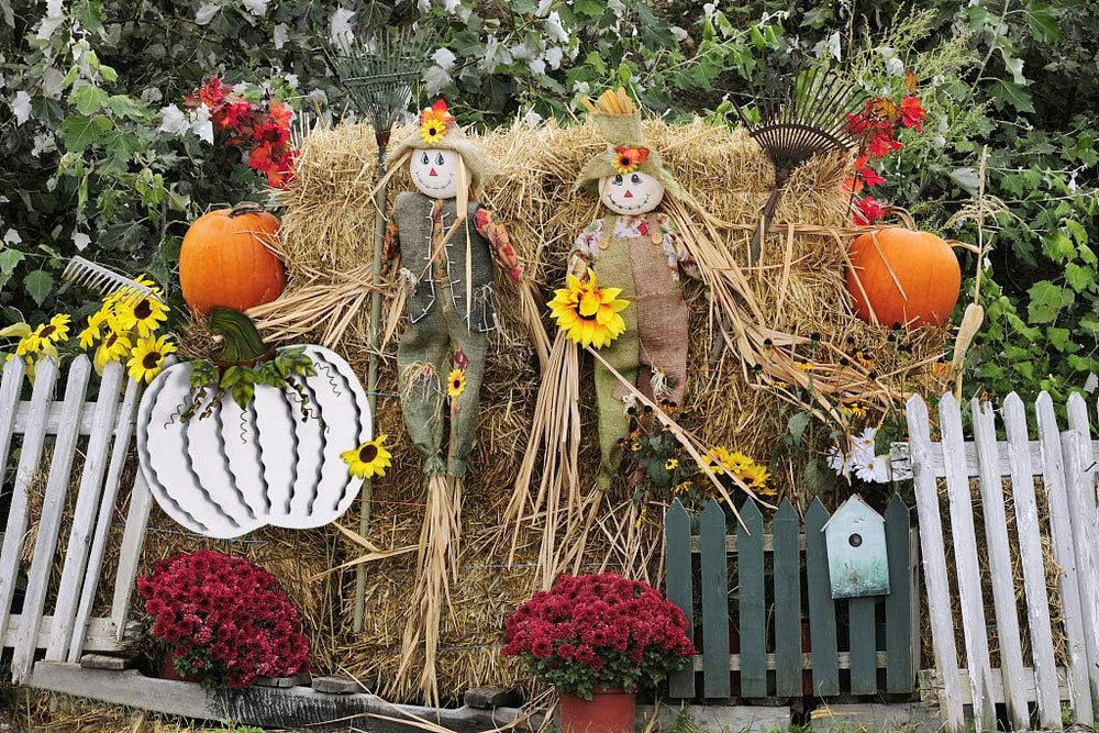 E-view Metal Pumpkin Garden Stakes Fall Decor Autumn Decorative Yard Signs