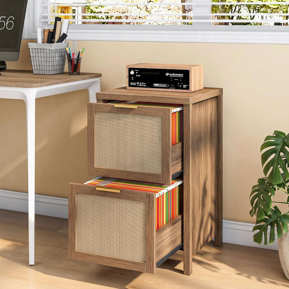 Halitaa 2-Drawer Rattan Small File Cabinet, Vertical Filing Cabinet, Brown