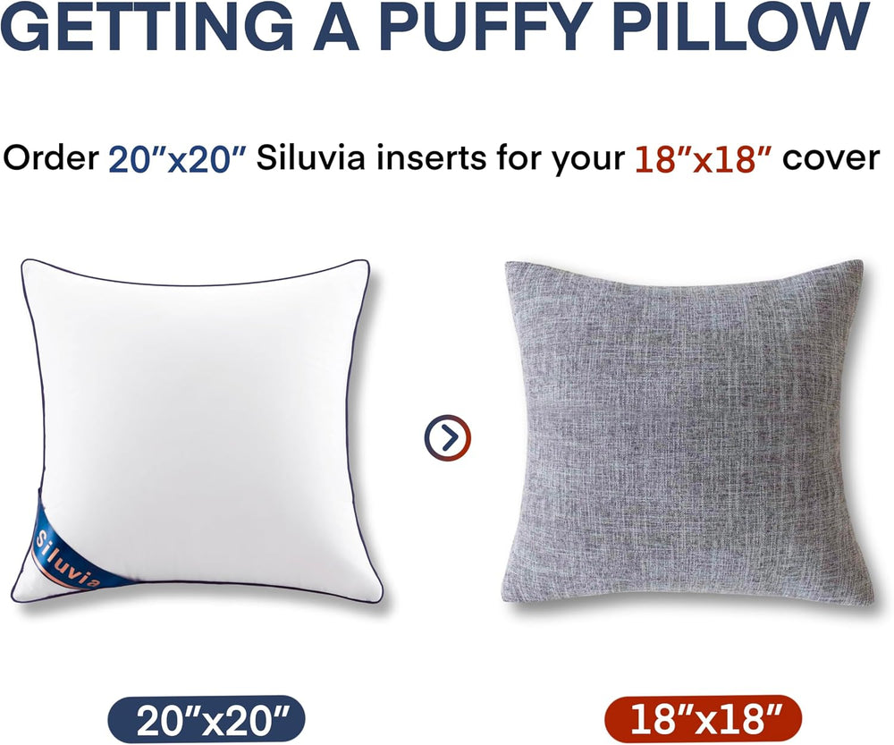 Siluvia 20x20 Down Alternative Pillow Insert 2 Pack, 100% Cotton Cover