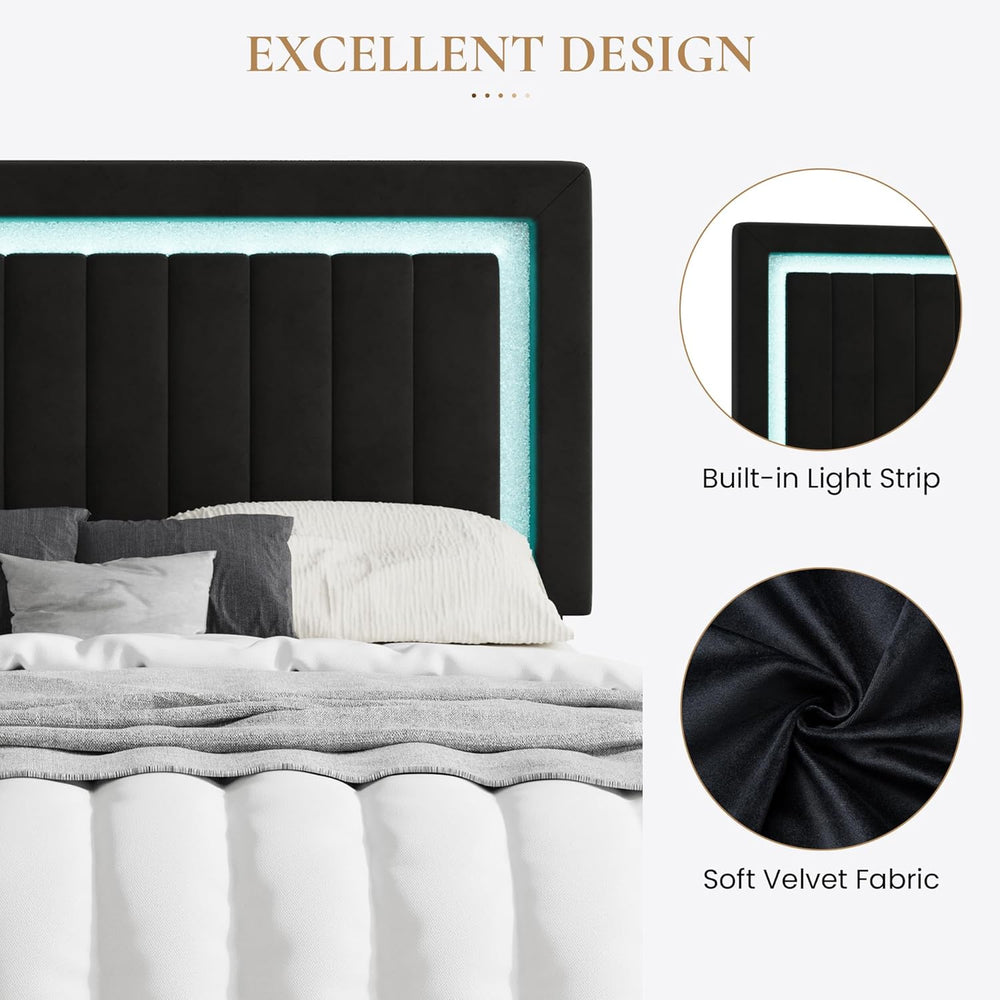 SHA CERLIN Queen Size Velvet Bed Frame with LED Light, Black