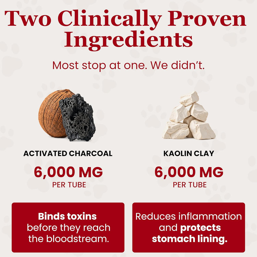 PawMergency – Activated Charcoal First Aid Kit Emergency Rescue for Dogs, Cat...