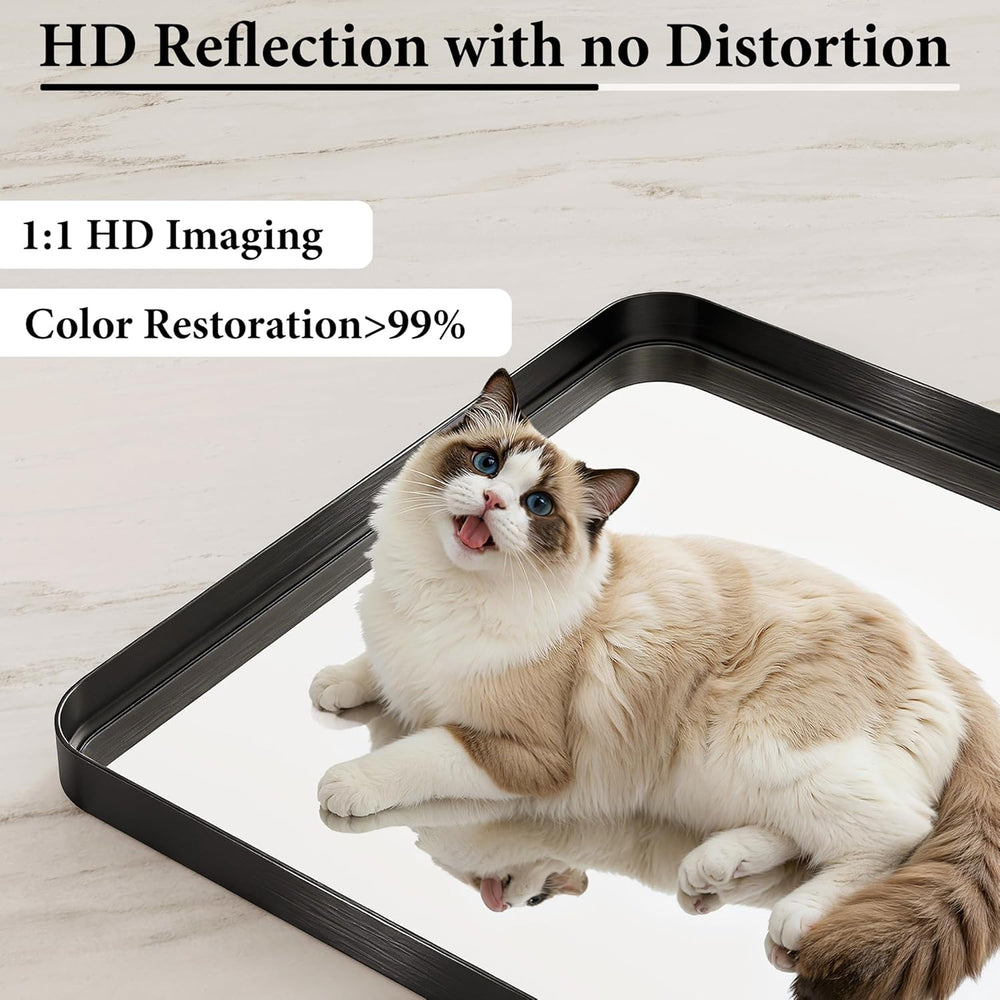 Bathroom Mirror for Wall, 30 Inch Square Mirror, Matte Black Metal Framed