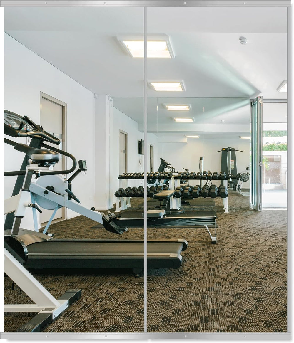 Delma Home Gym Mirror, 60''x25''x2PCS Silver