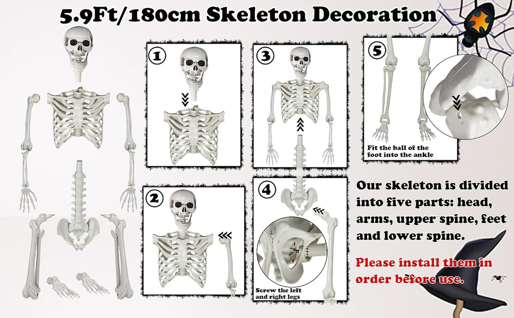 5.9ft/180cm Posable Halloween Skeleton, Life Size Skeleton Bones with Movable...