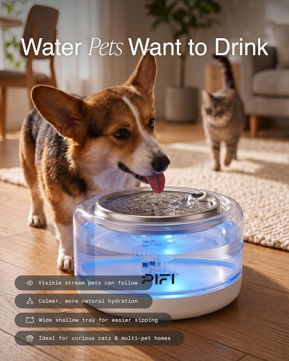 PiFi 4L Cat Water Fountain with Glass Body & Fixed BPA-Free Plastic Base