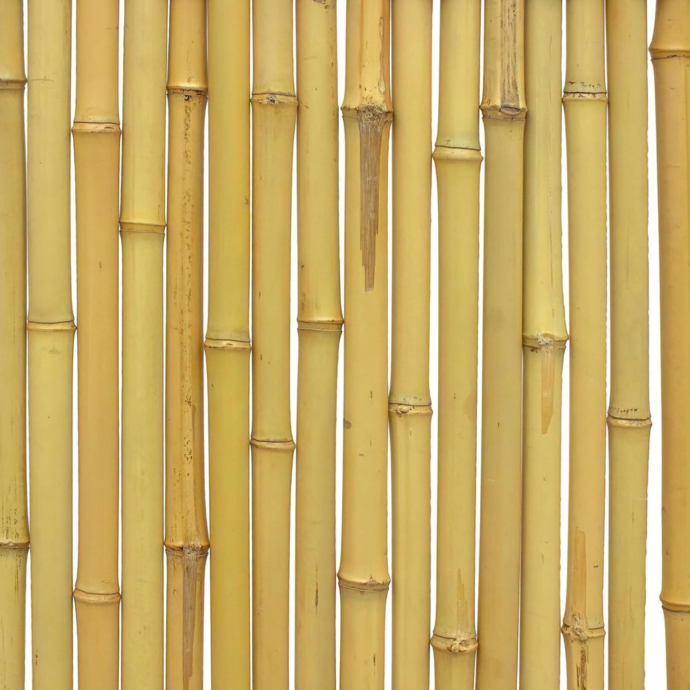 Red Lantern 6 x 3 ft. Japanese Bamboo Kumo Fence Panel, 6ft. x 3ft, Brown