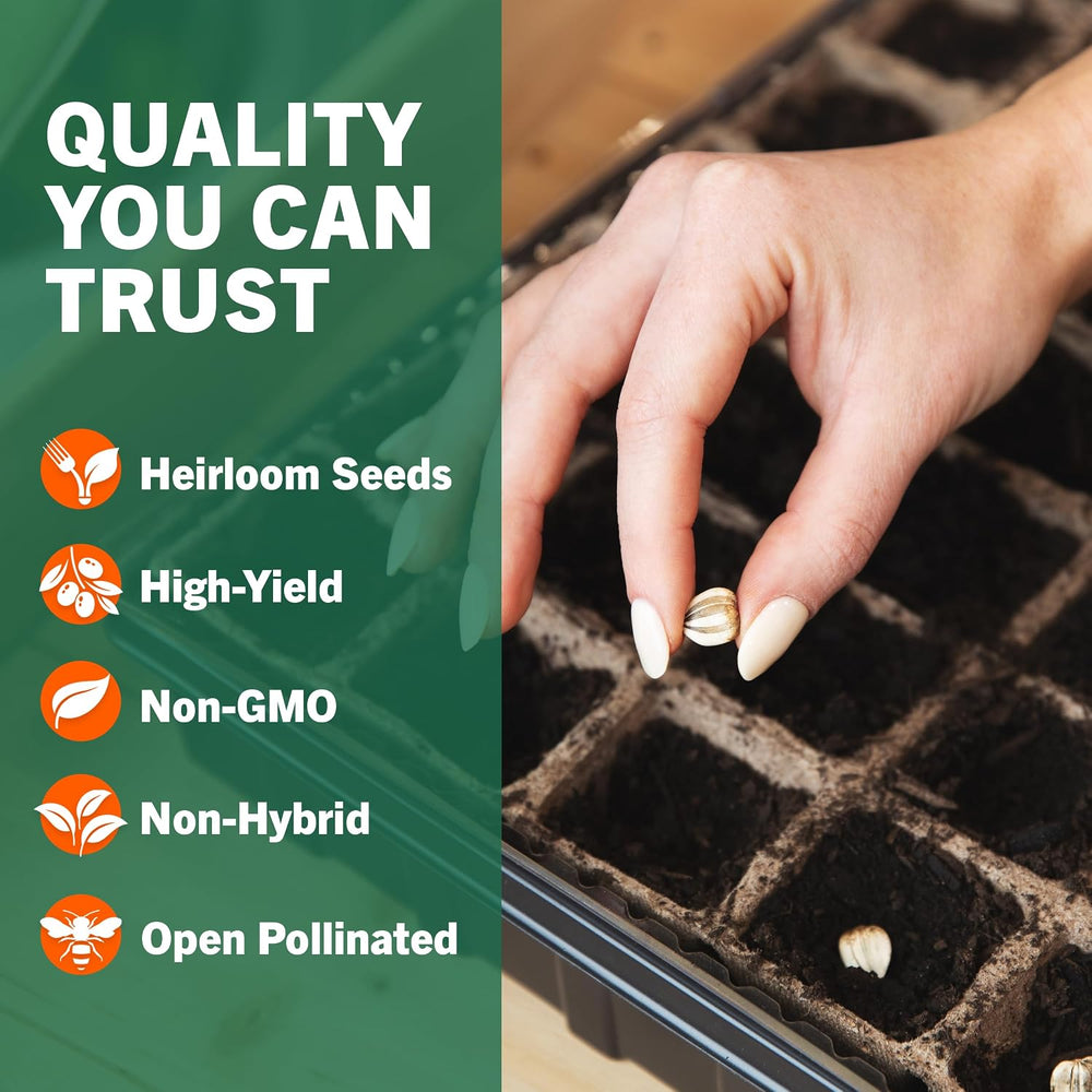 Vegetable, Fruit & Herb Seeds, 44 Packs, Non-GMO, 15,000+ Seeds