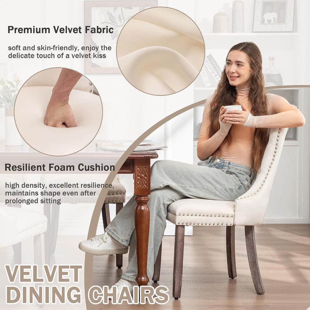 Velvet Dining Chair, Single Beige Dinig Accent Chair