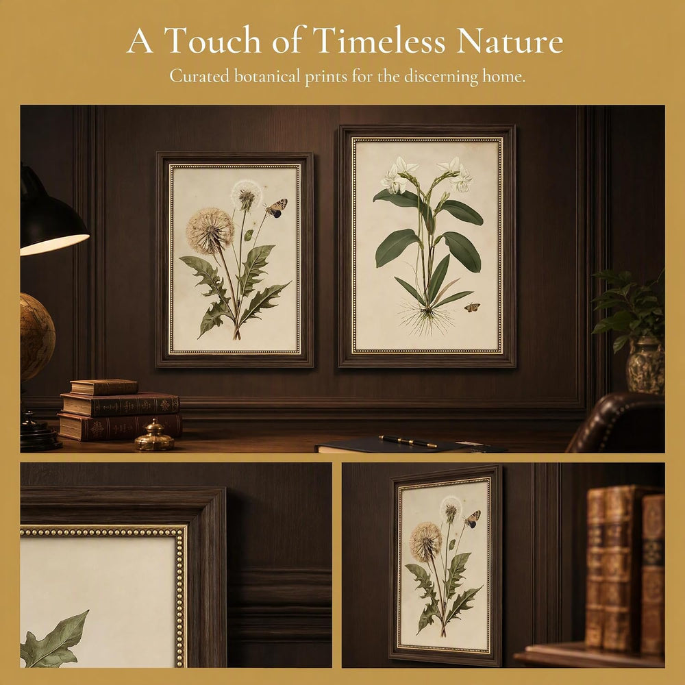 2pcs Framed Vintage Botanical Wall Art (botany,12x16in,Framed)