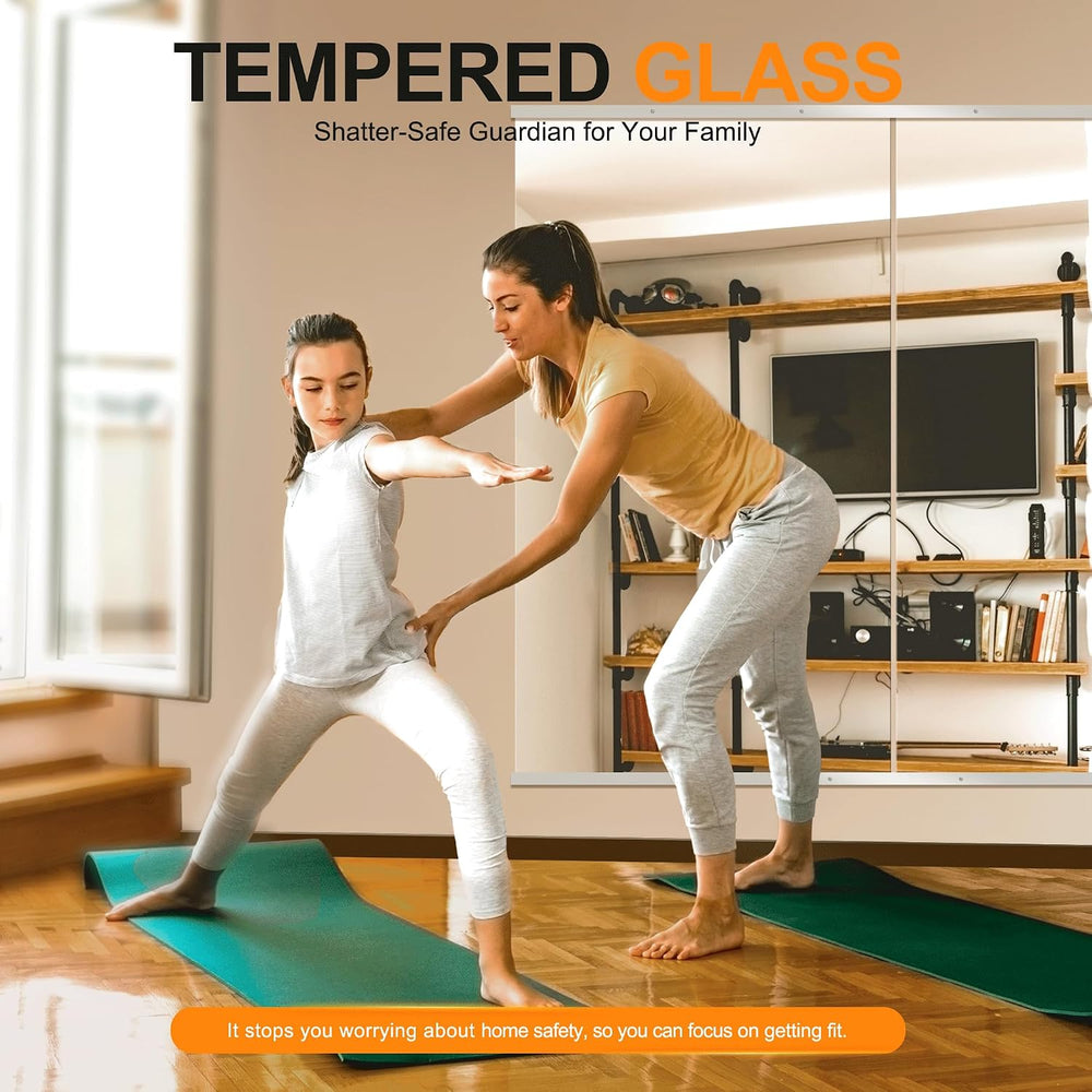 Delma Home Gym Mirror, 54''x30''x2PCS Silver