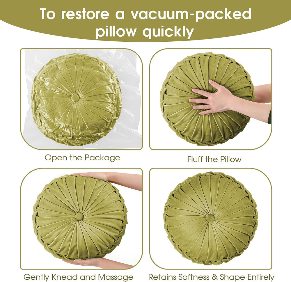 ROSE&RISY Round Pleated Velvet Throw Pillow, 2 Pack Decorative Accent Pum...