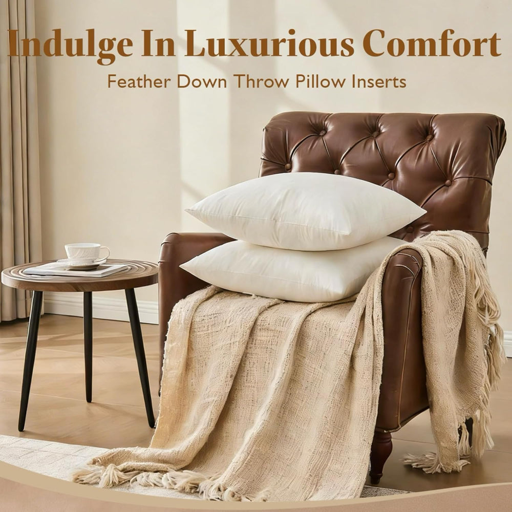 BPC 16x16 Down Feather Throw Pillow Inserts Set of 2, 100% Organic Cotton Cov...
