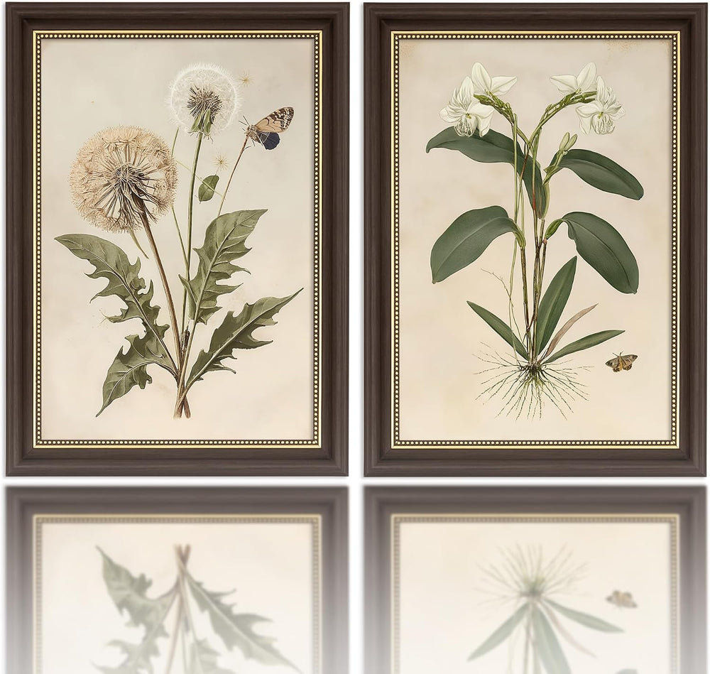 2pcs Framed Vintage Botanical Wall Art (botany,12x16in,Framed)