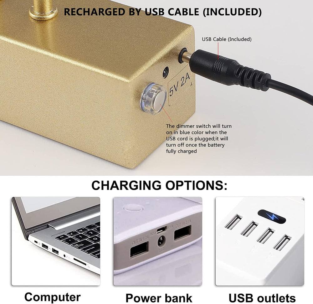 Battery Operated Picture Light,5200mAh Picture Lights for Wall with Remote,16...