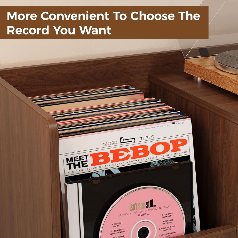 IRONCK 48" Mid-Century Modern Record Player Stand with Door, Walnut